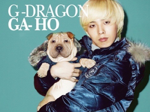 BIGBANGのG-DRAGONはペット犬を放置したのか…1匹は行方不明？すでに買い替えた？